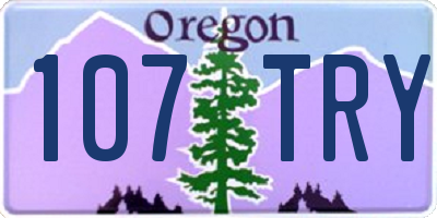 OR license plate 107TRY