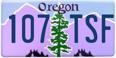 OR license plate 107TSF