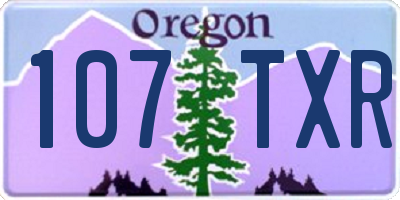 OR license plate 107TXR