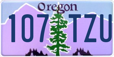 OR license plate 107TZU