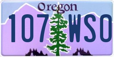 OR license plate 107WSO