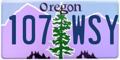 OR license plate 107WSY