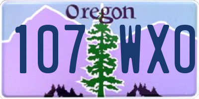 OR license plate 107WXO