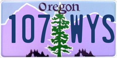 OR license plate 107WYS