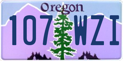 OR license plate 107WZI