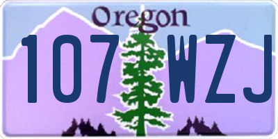 OR license plate 107WZJ