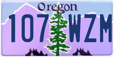 OR license plate 107WZM