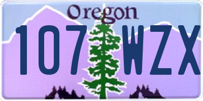 OR license plate 107WZX
