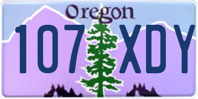 OR license plate 107XDY