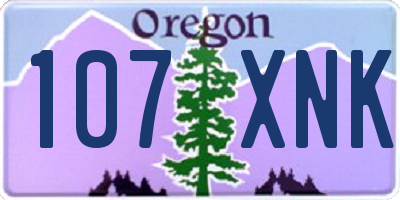 OR license plate 107XNK