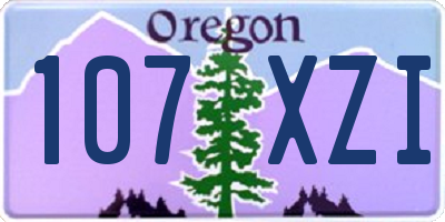 OR license plate 107XZI