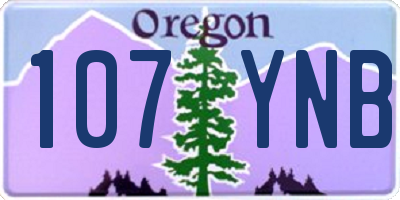 OR license plate 107YNB