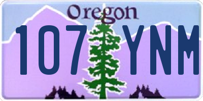 OR license plate 107YNM