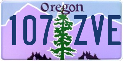 OR license plate 107ZVE