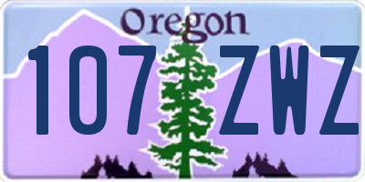 OR license plate 107ZWZ