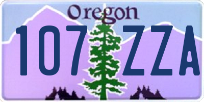 OR license plate 107ZZA