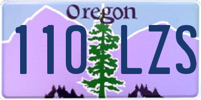 OR license plate 110LZS