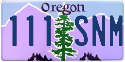 OR license plate 111SNM