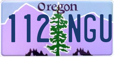 OR license plate 112NGU