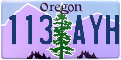 OR license plate 113AYH
