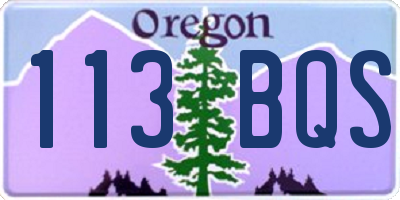 OR license plate 113BQS
