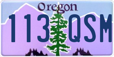 OR license plate 113QSM