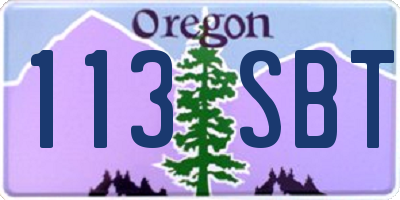 OR license plate 113SBT