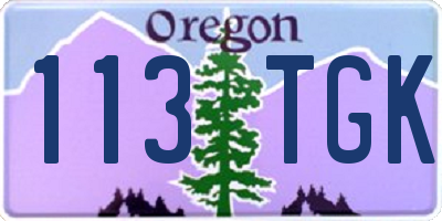 OR license plate 113TGK