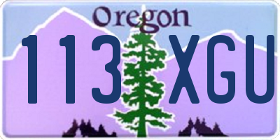 OR license plate 113XGU