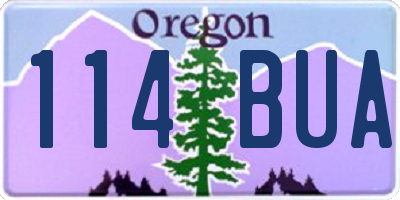 OR license plate 114BUA