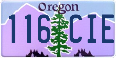 OR license plate 116CIE