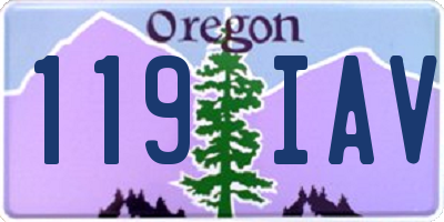 OR license plate 119IAV