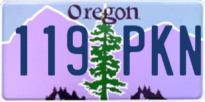 OR license plate 119PKN