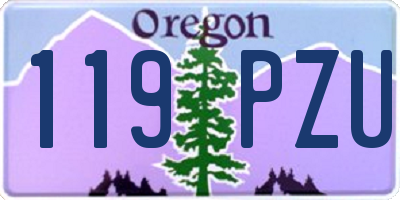 OR license plate 119PZU
