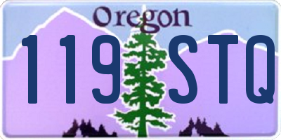 OR license plate 119STQ