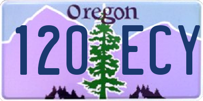OR license plate 120ECY