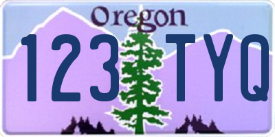 OR license plate 123TYQ