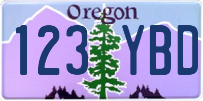 OR license plate 123YBD