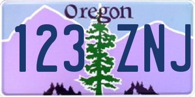OR license plate 123ZNJ