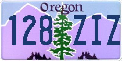 OR license plate 128ZIZ