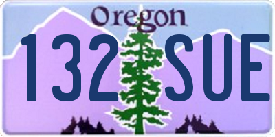 OR license plate 132SUE