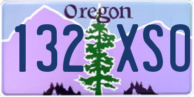 OR license plate 132XSO
