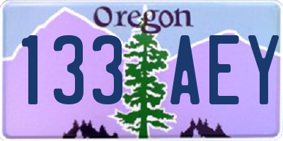 OR license plate 133AEY
