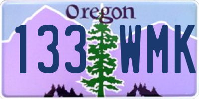 OR license plate 133WMK