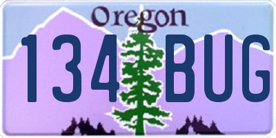 OR license plate 134BUG