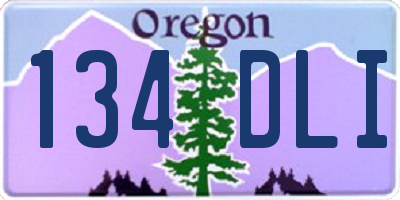 OR license plate 134DLI