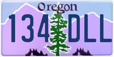 OR license plate 134DLL