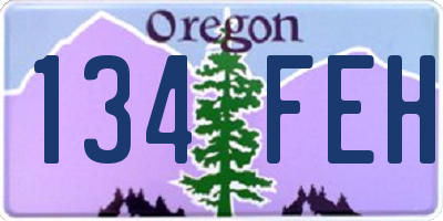 OR license plate 134FEH