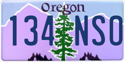 OR license plate 134NSO