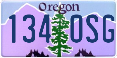 OR license plate 134OSG